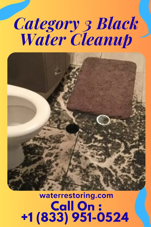 Category 3 Black Water Cleanup in Ransom, KS